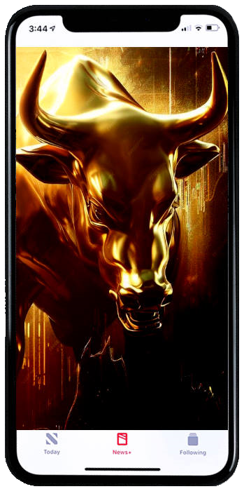 bull